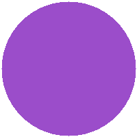 Ava Mitchell, Casino Specialist